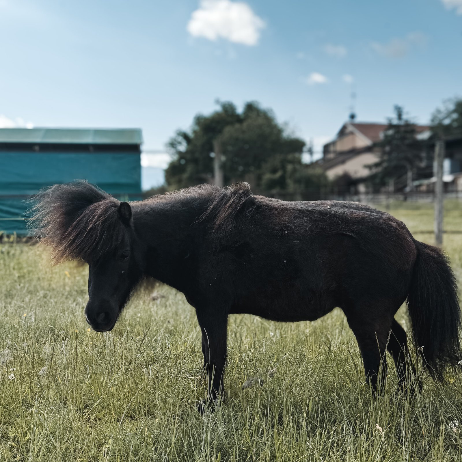 <strong>GAMINE</strong>