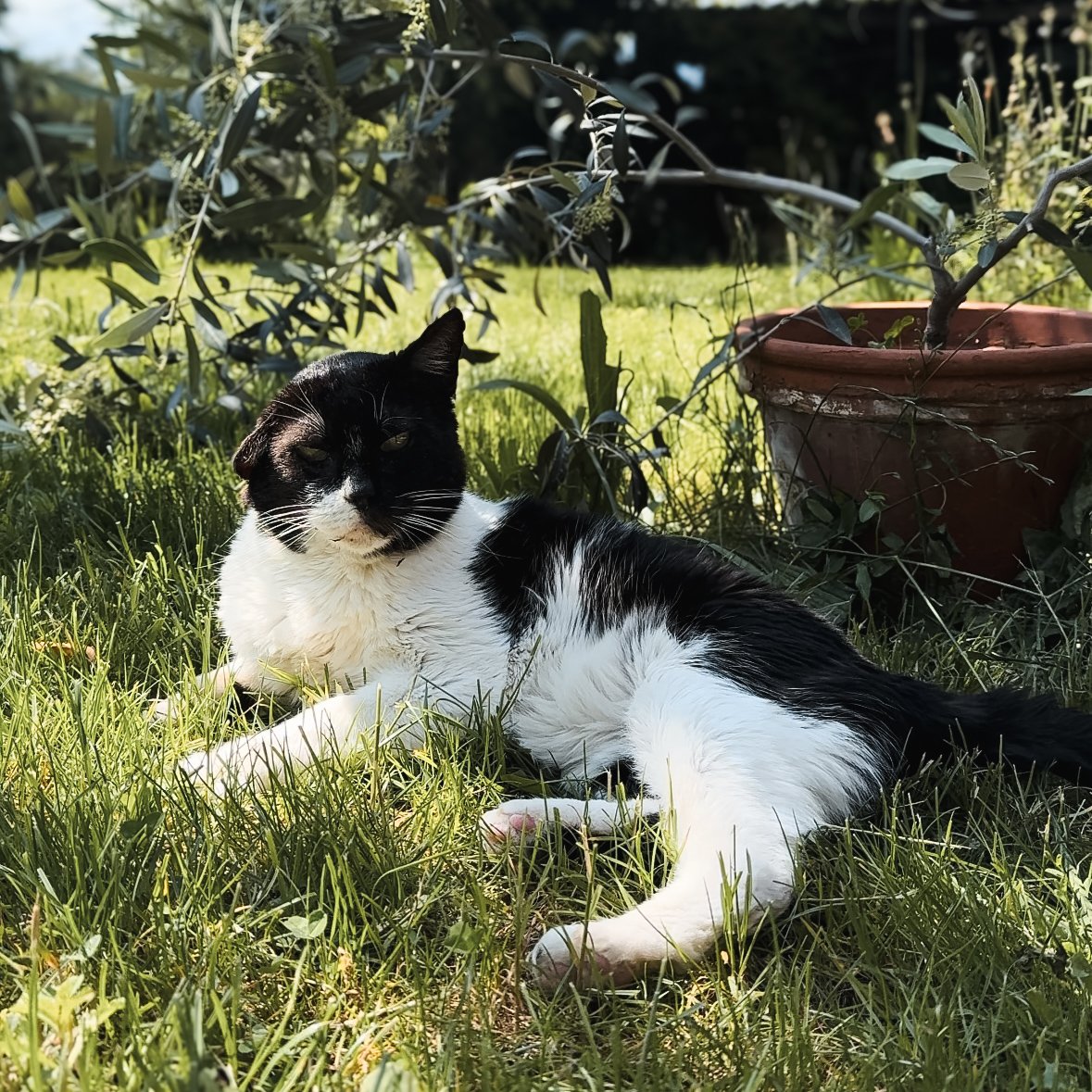 <strong>SNOW</strong>