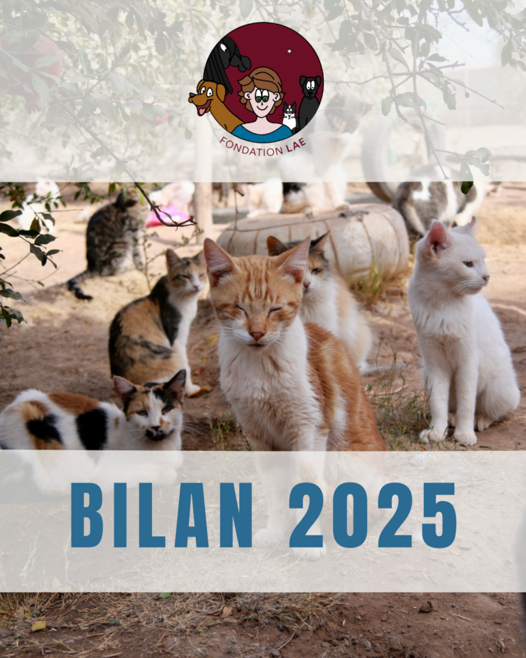 Bilan 2025
